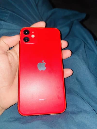 Apple iPhone 11 Kasur