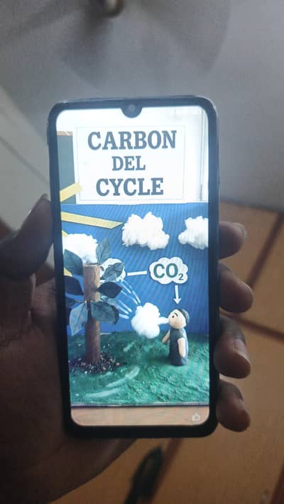 Vivo S1