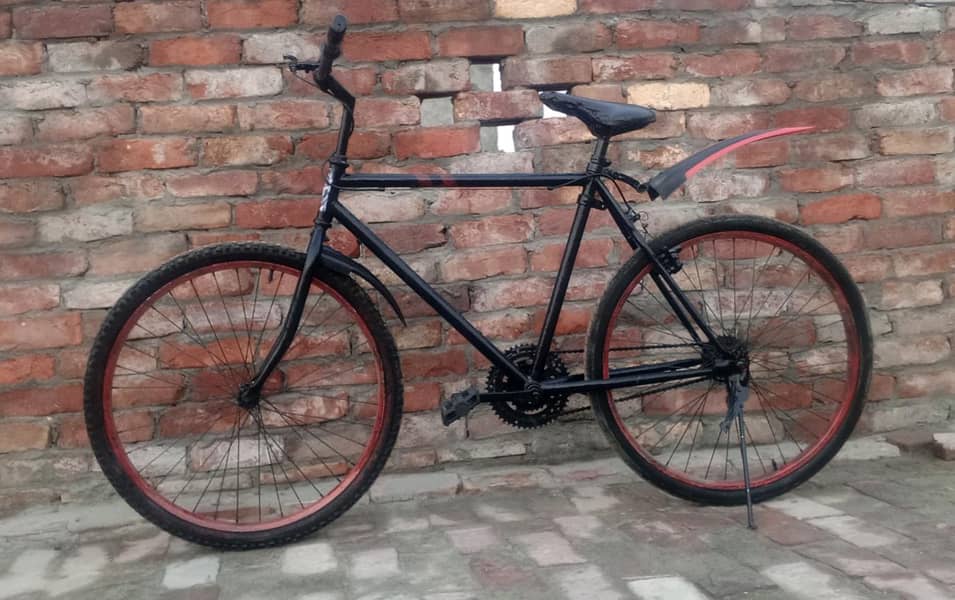 Phonex Cycle 1