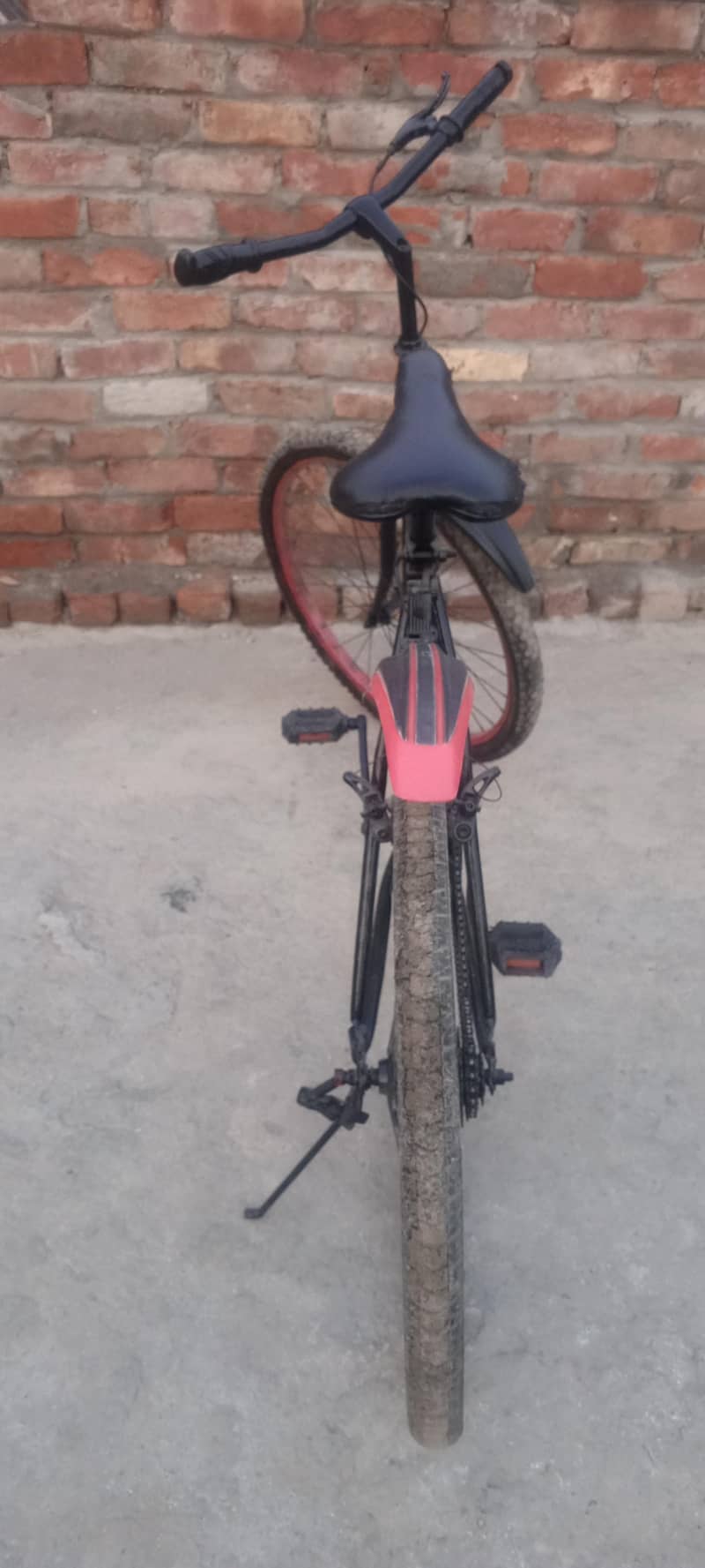 Phonex Cycle 2