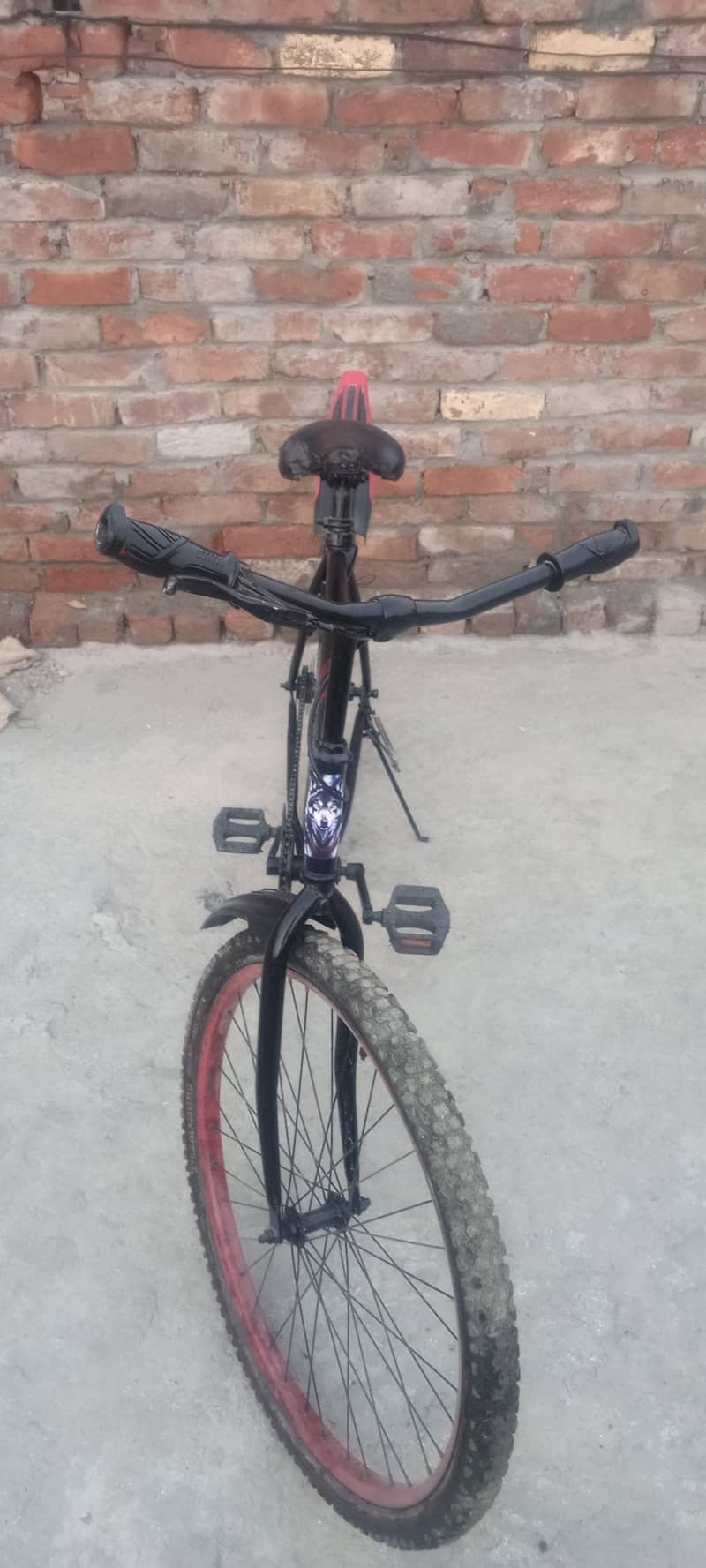 Phonex Cycle 5