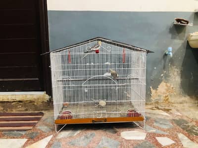 Cage for sale