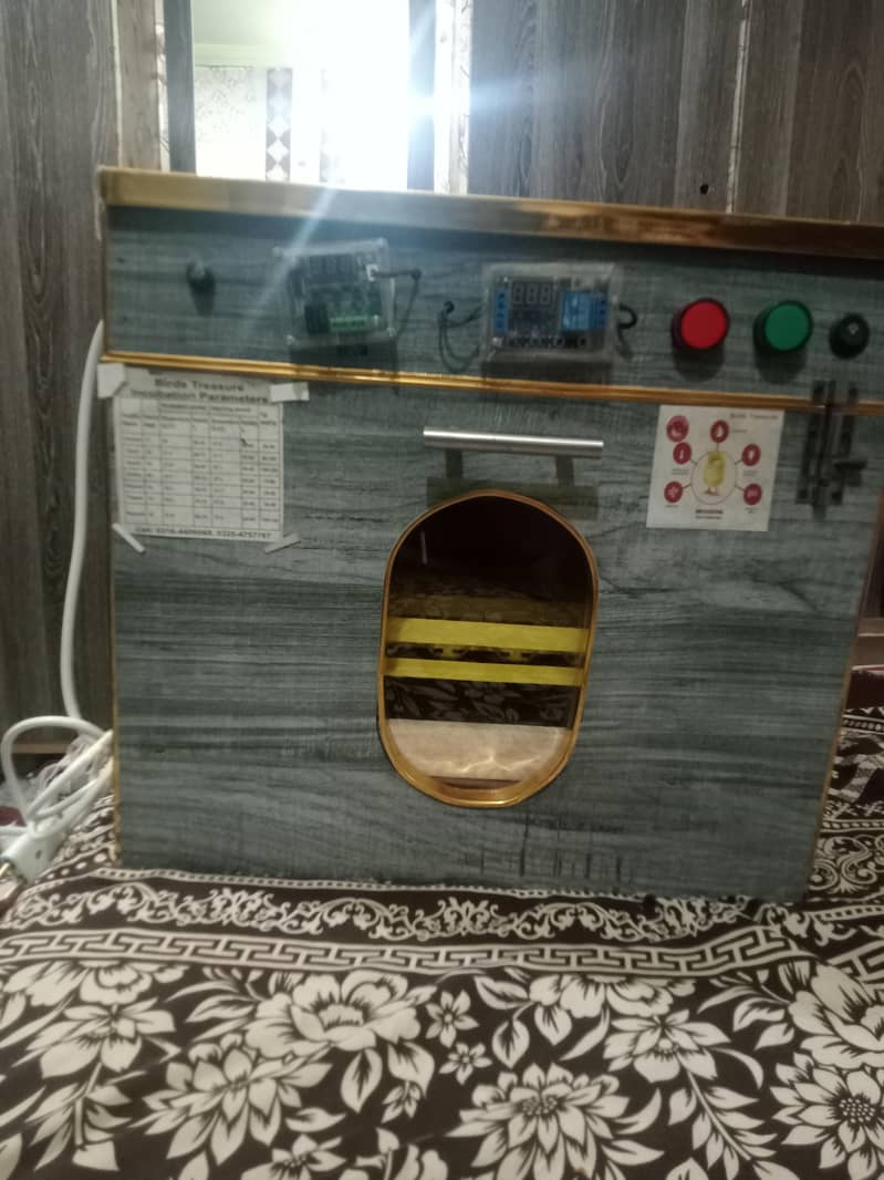 incubator 0