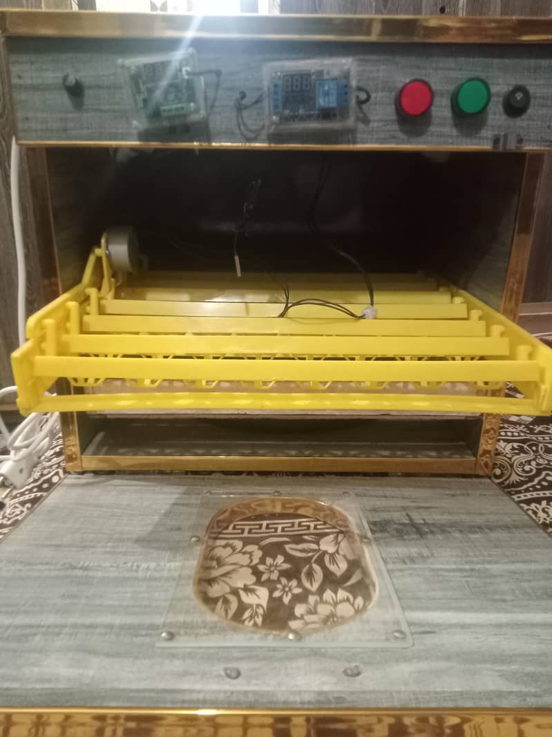 incubator 1