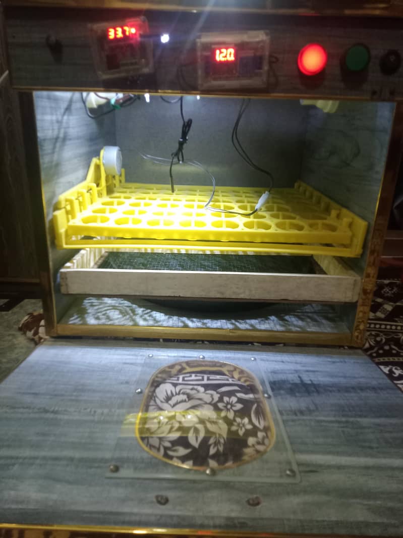 incubator 2