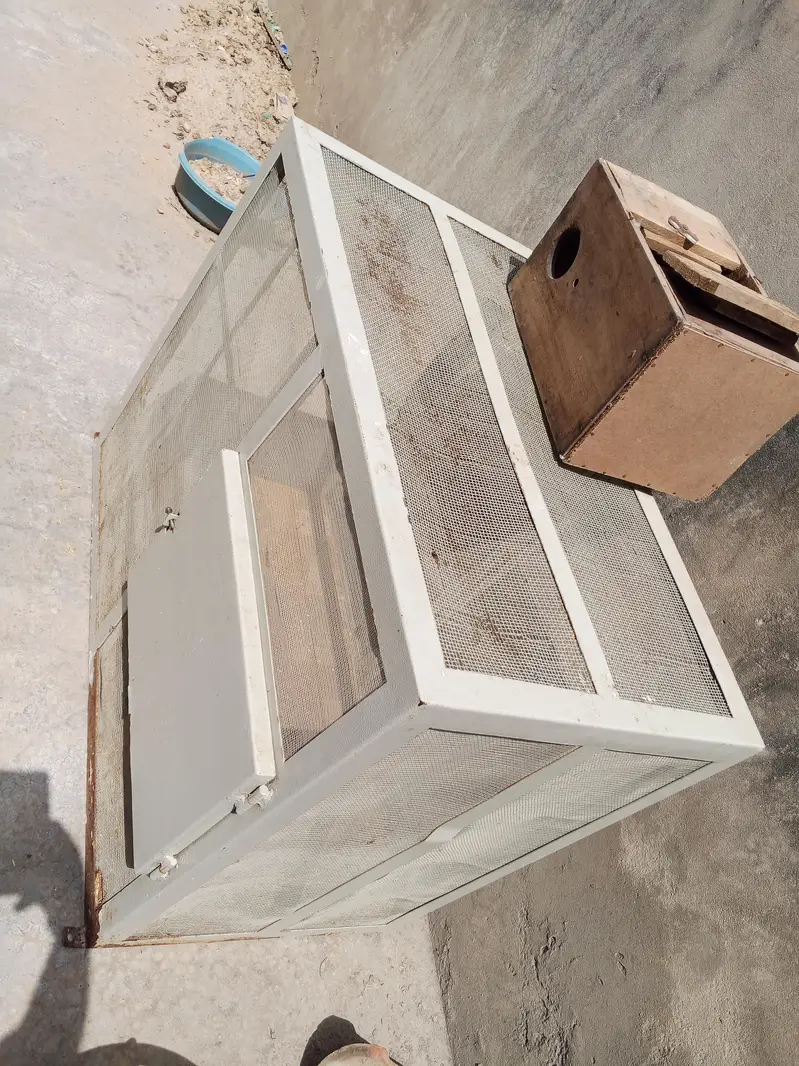 Iron Cage for Hens size (3×3×2) 03225360298 — photo 2