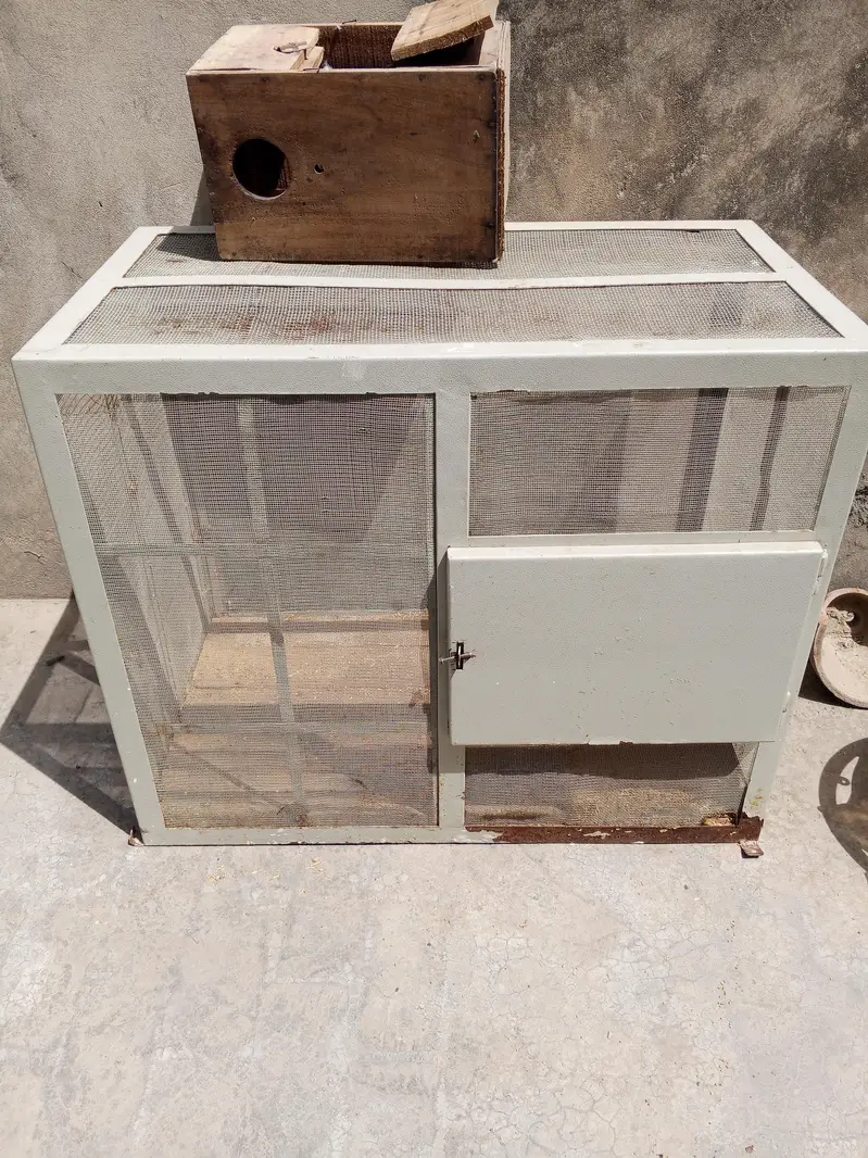 Iron Cage for Hens size (3×3×2) 03225360298 — photo 3