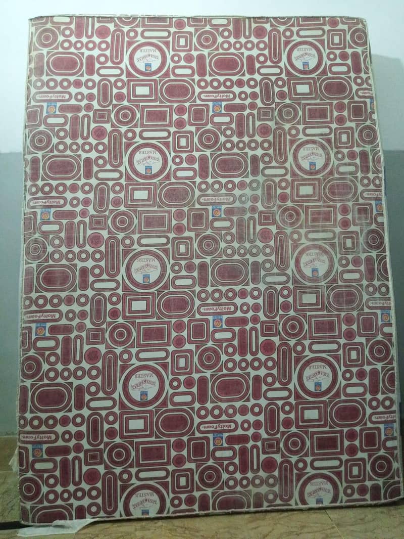 moltyfoam 1
