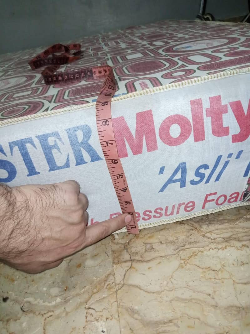 moltyfoam 4