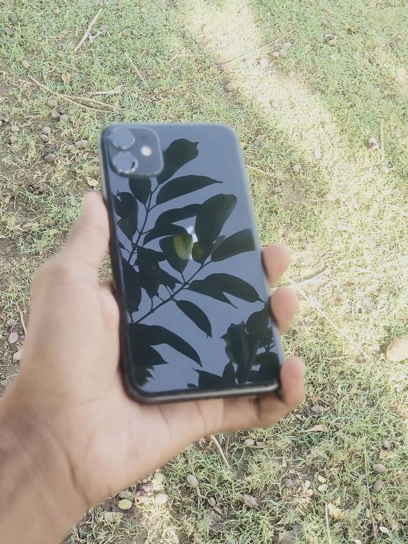 iPhone 11 0