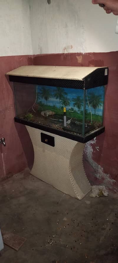 Luxury Aquarium with Cabinet Stand – Best Price