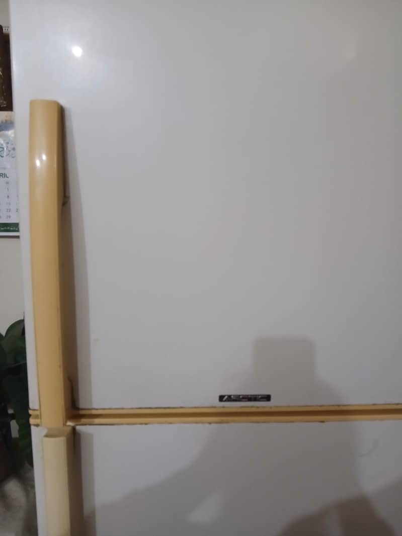 Fridge  Full Size 0