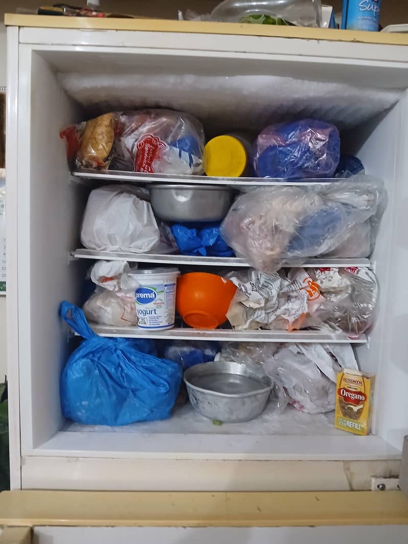 Fridge  Full Size 1