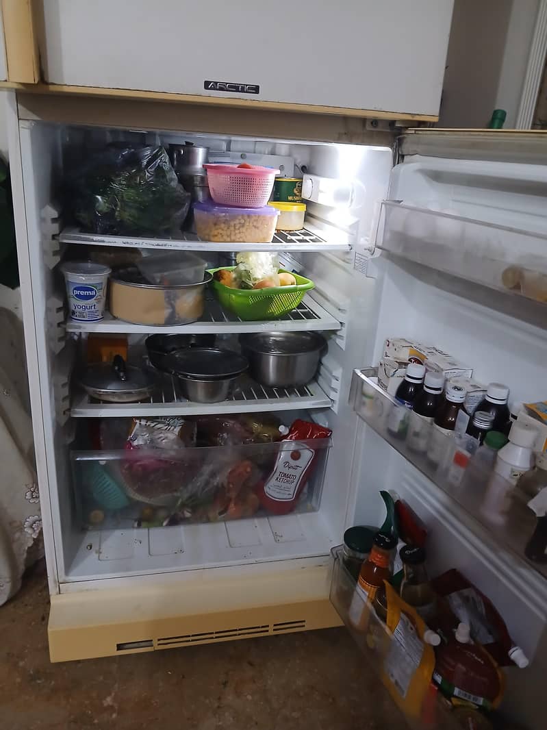 Fridge  Full Size 2