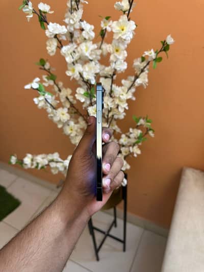 Apple iPhone 12 Pro Max