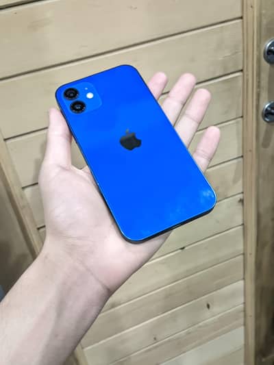 Apple iPhone 12