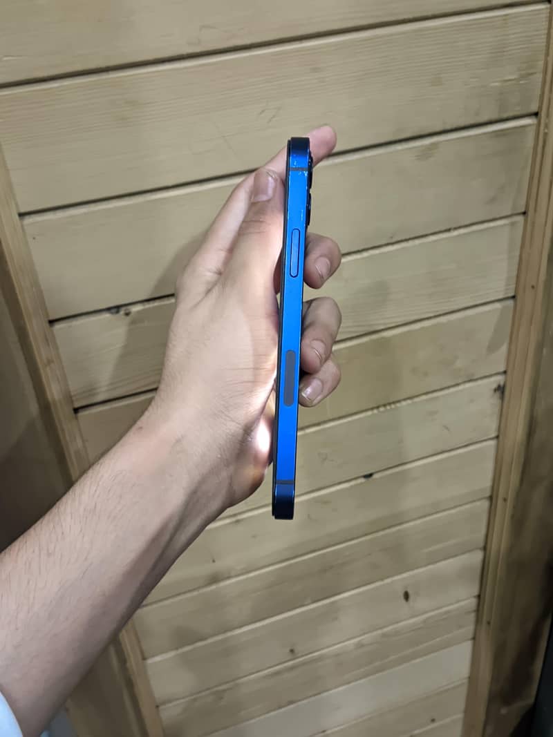 Apple iPhone 12 1