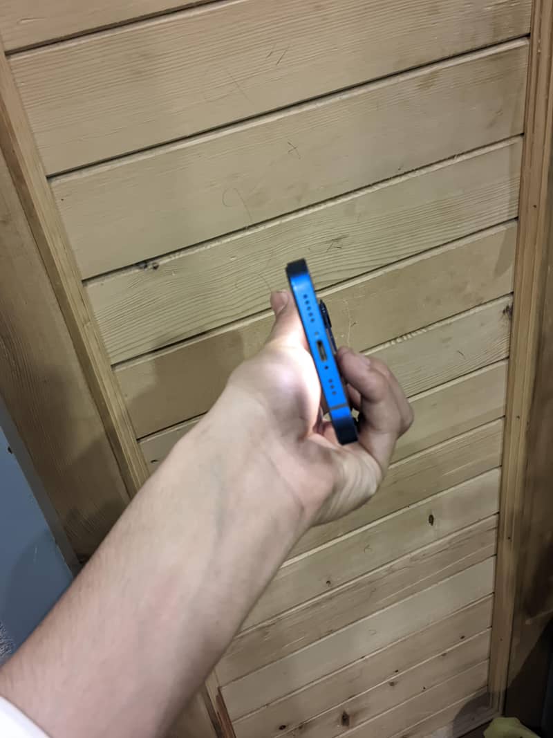 Apple iPhone 12 2