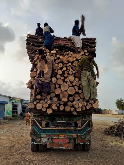 Adeel Firewood Store (جلنے والی لکڑی)