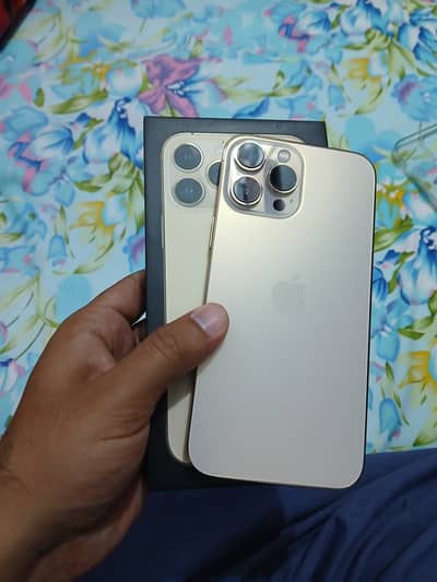 Apple iPhone 13 Pro Max