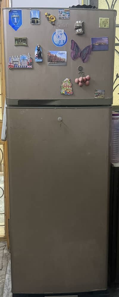Haier Refrigerator golden color