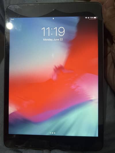 Ipad mini 2