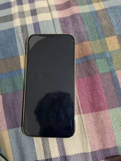 Apple iPhone 12 Pro Max