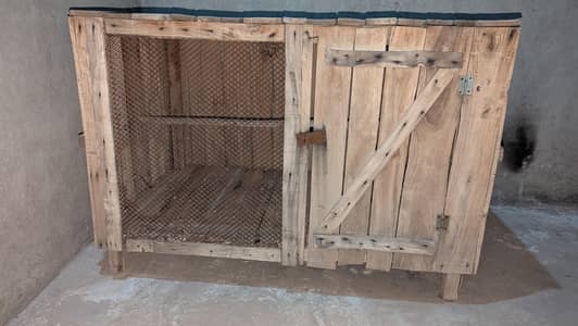 hen cage