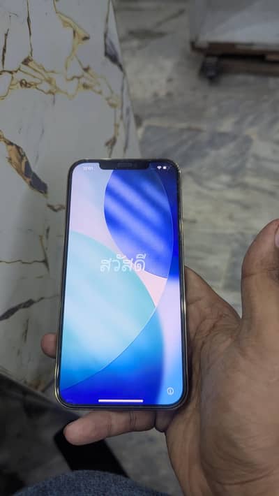 Apple iPhone 12 Pro Max