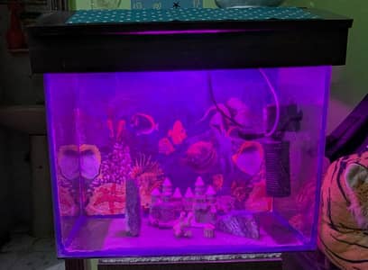 Aquarium