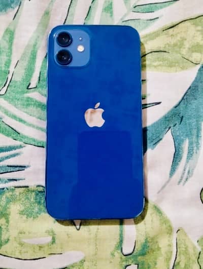 Apple iPhone 12  0/3/4/4/7/6/0/9/6/7/0
