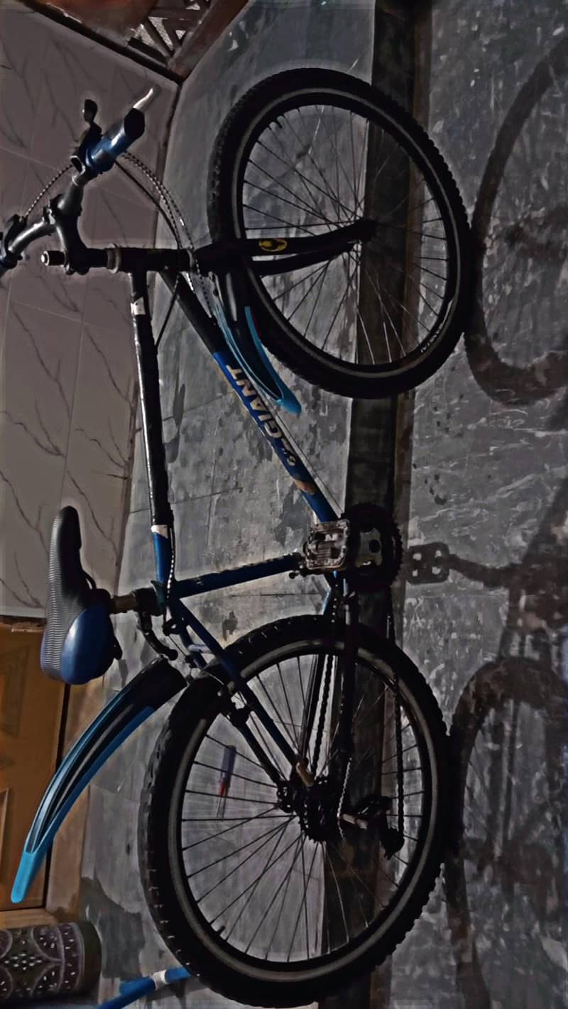 Cycle 1