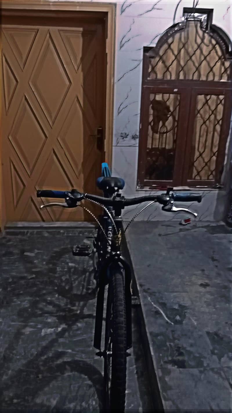 Cycle 3