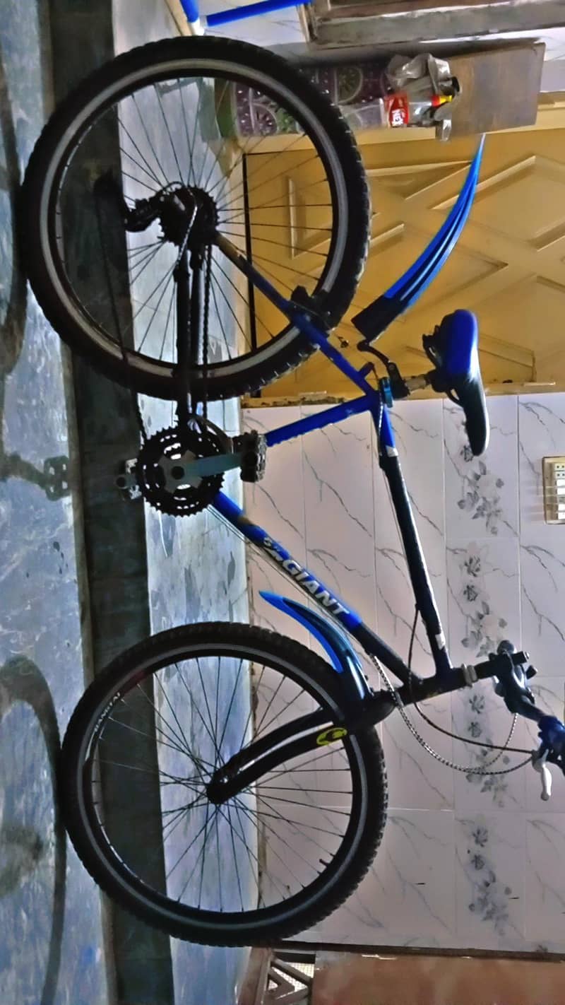 Cycle 4