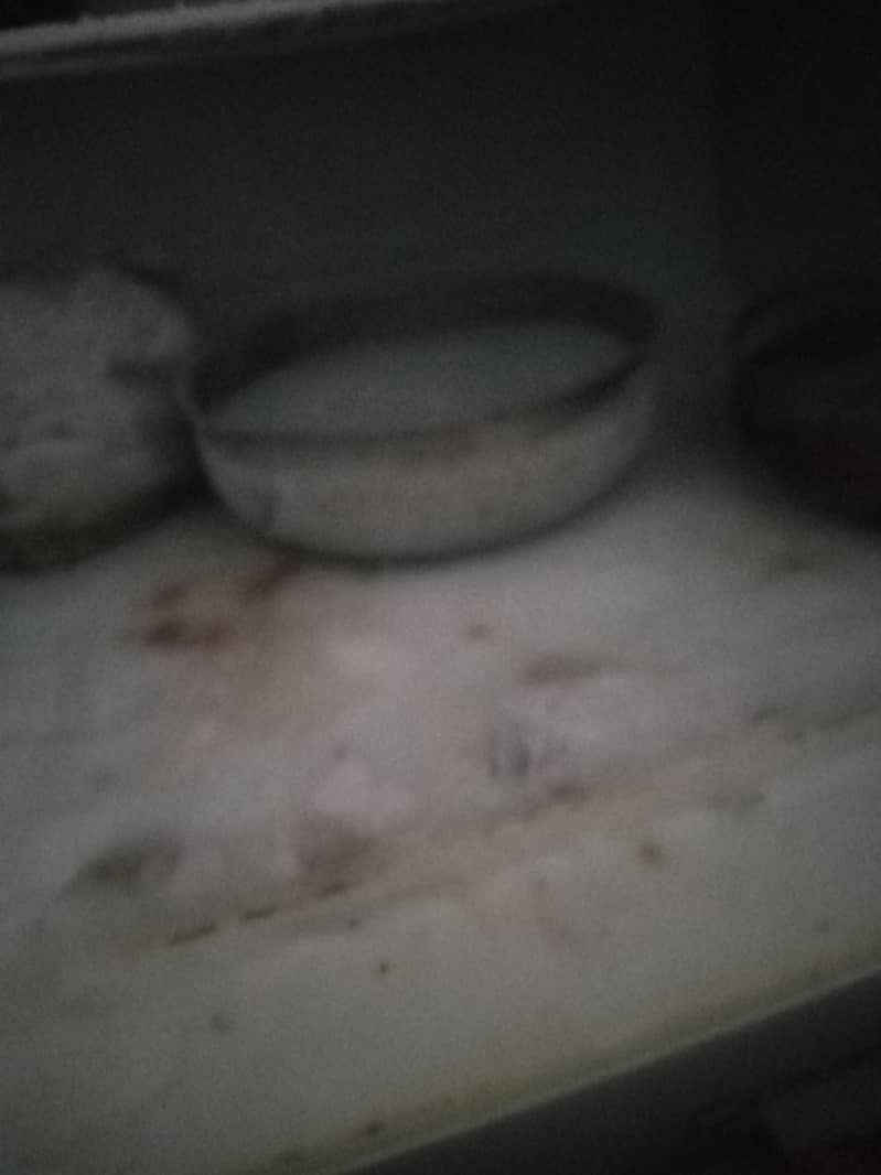 Medium fridge 8
