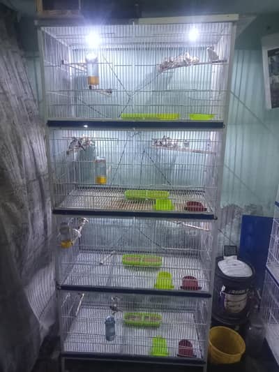 angle wala cage