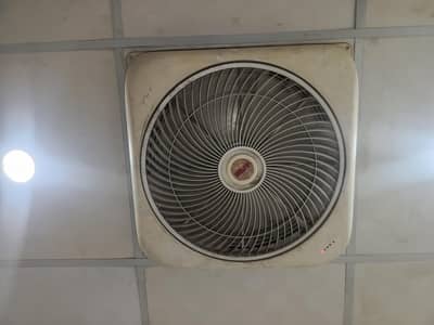 Belvine False Ceiling Fan