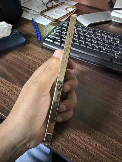 Apple iPhone 12 Pro Max