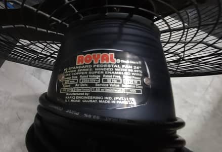 Royal Fan