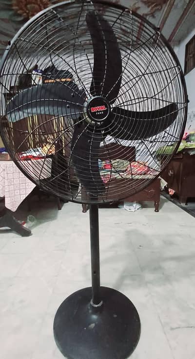 Royal Fan