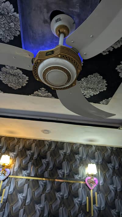 gfc high quality fan original gfc