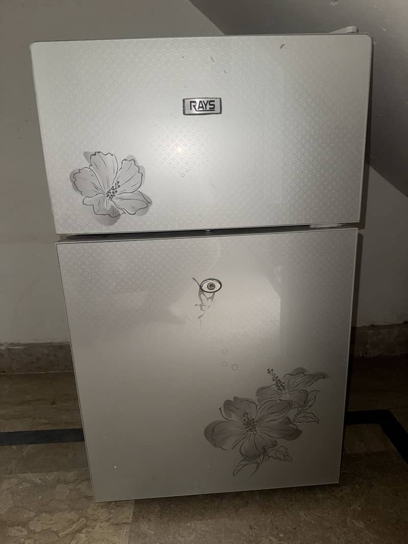 rays fridge 0