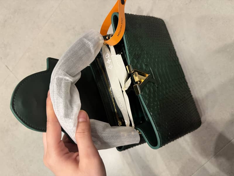 LV bag 1