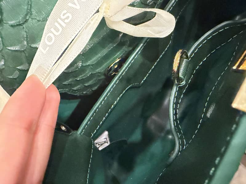 LV bag 3
