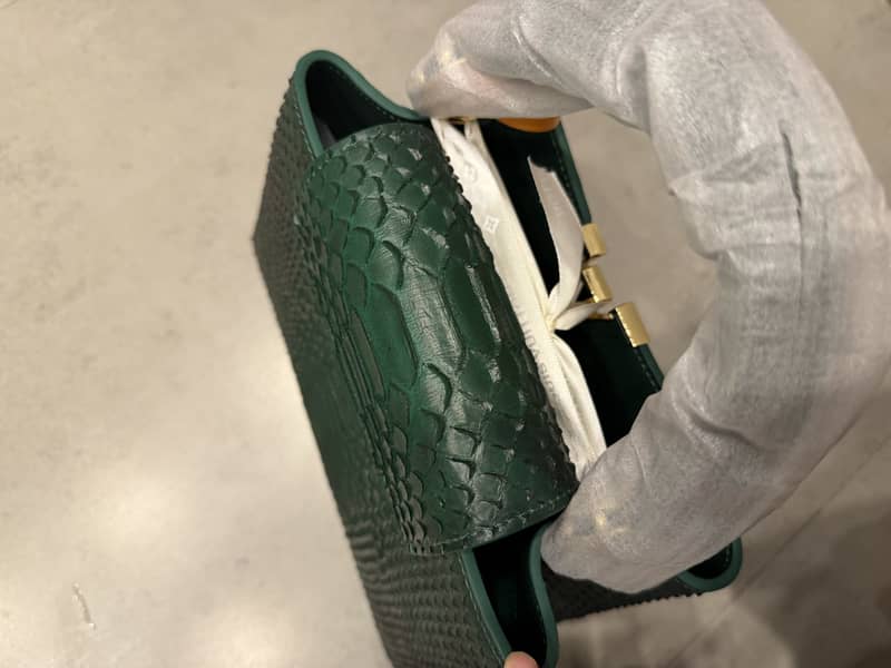 LV bag 5