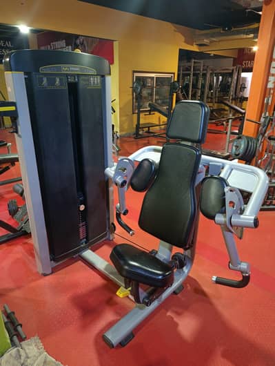 body strong bicep curl for sale