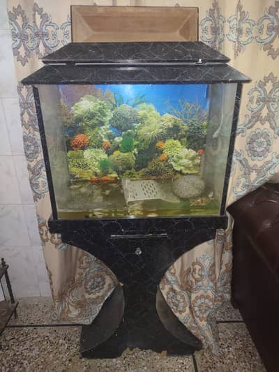 aquarium with stand portable for fish  and turtle