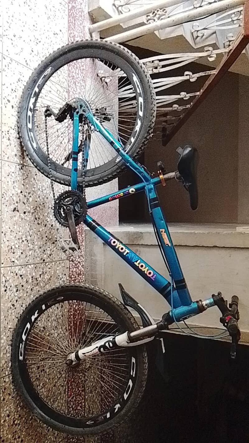 Mountain cycle 9