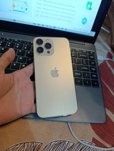 Apple iPhone 13 Pro Max