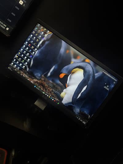 Dell 24 inches IPS Monitor in excellent condition